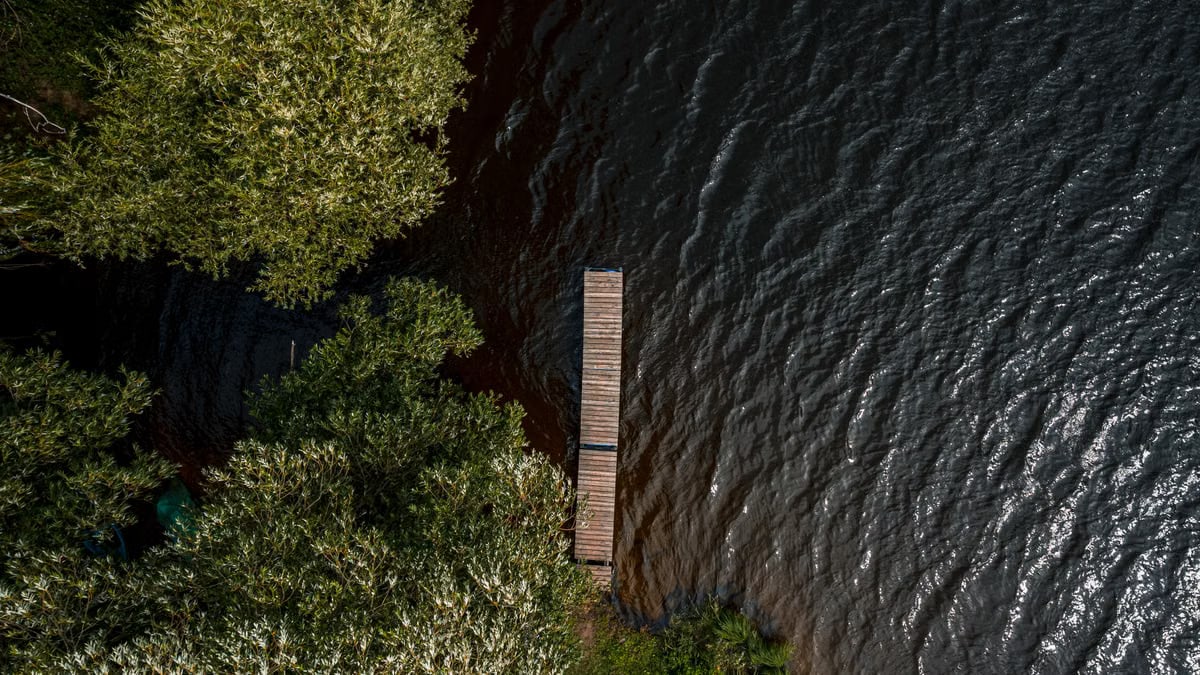 A peaceful aerial view of a wooden dock surrounded by lush greenery and tranquil lake water.
